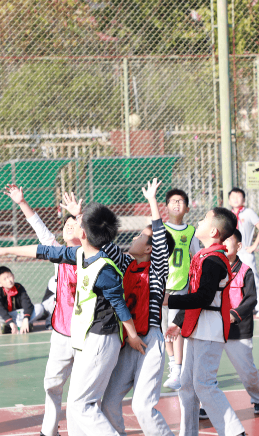 开云-Karsa迎来三赛季出色发挥,塞尔维亚队观众热烈欢呼!的简单介绍-开云